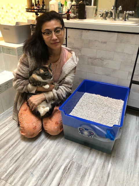 Train your cat to use an environmentally friendly and cost saving litter box